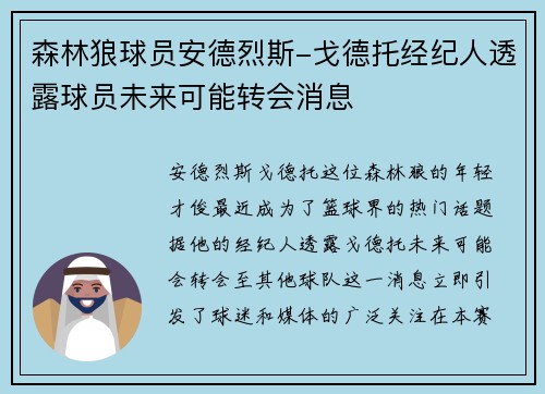 森林狼球员安德烈斯-戈德托经纪人透露球员未来可能转会消息